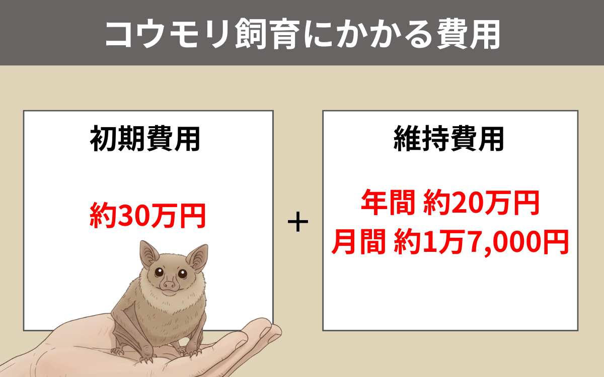 コウモリ飼育にかかる費用
