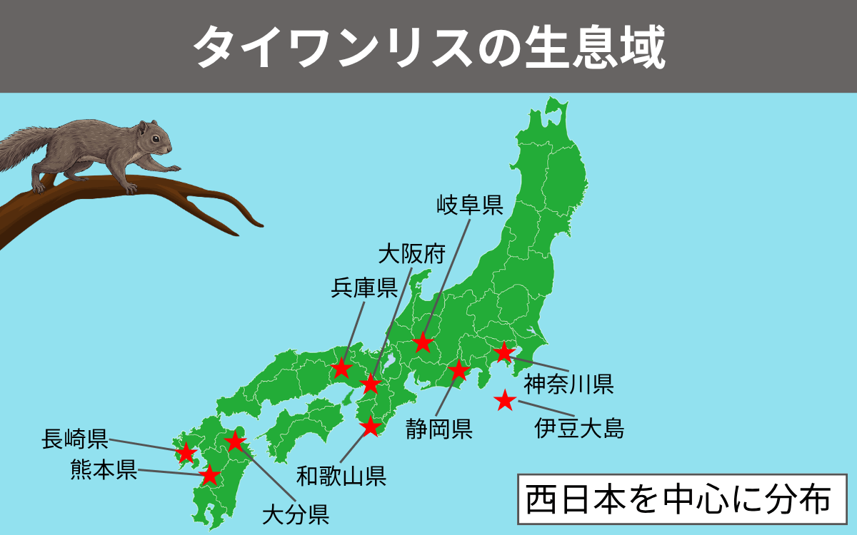 タイワンリスの生息域