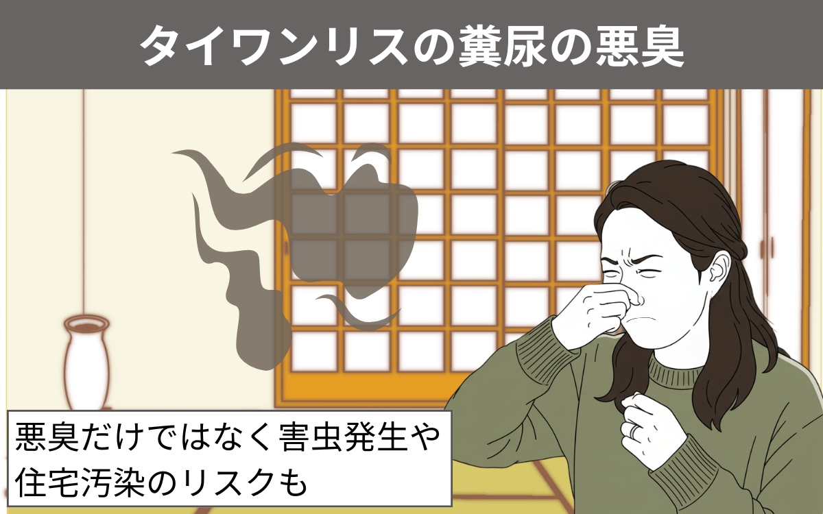 タイワンリスの糞尿の悪臭