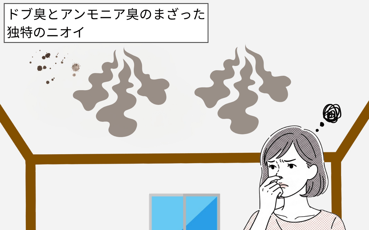 ドブのような悪臭がする