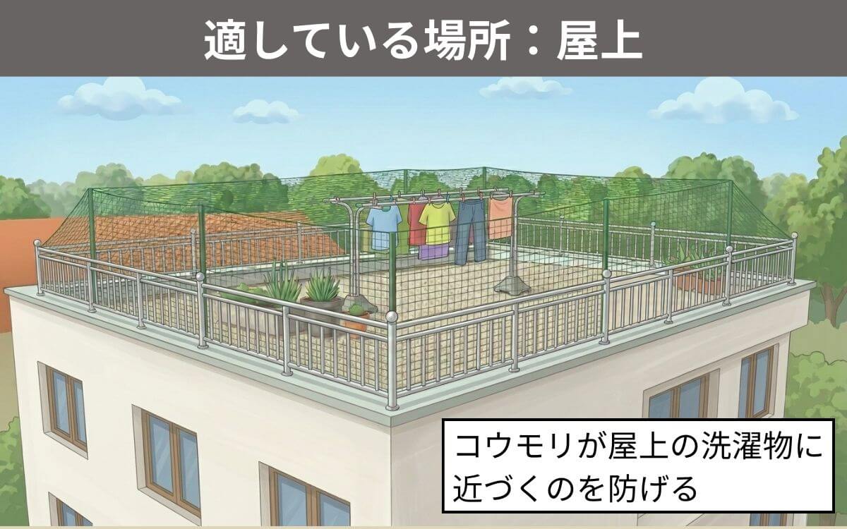 ネットが適している場所屋上