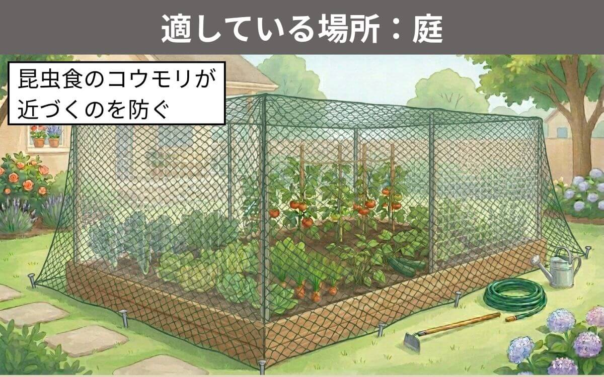 ネットが適している場所庭