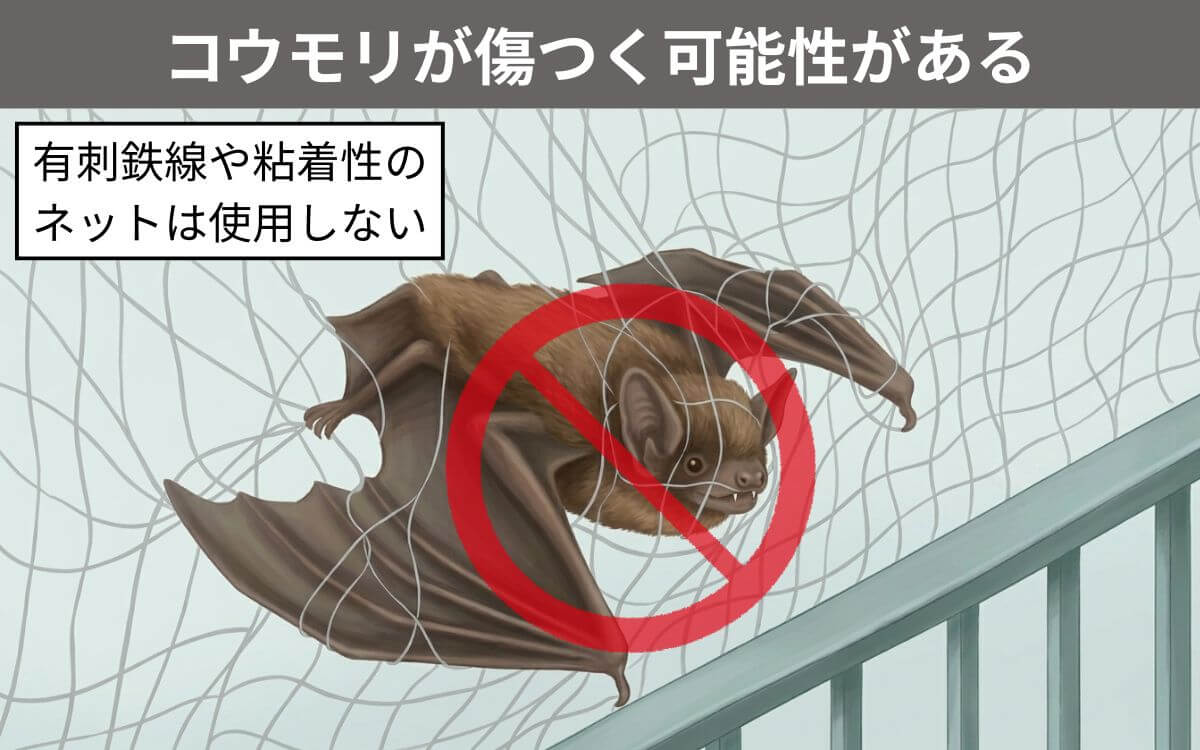 ネットでコウモリが傷つく