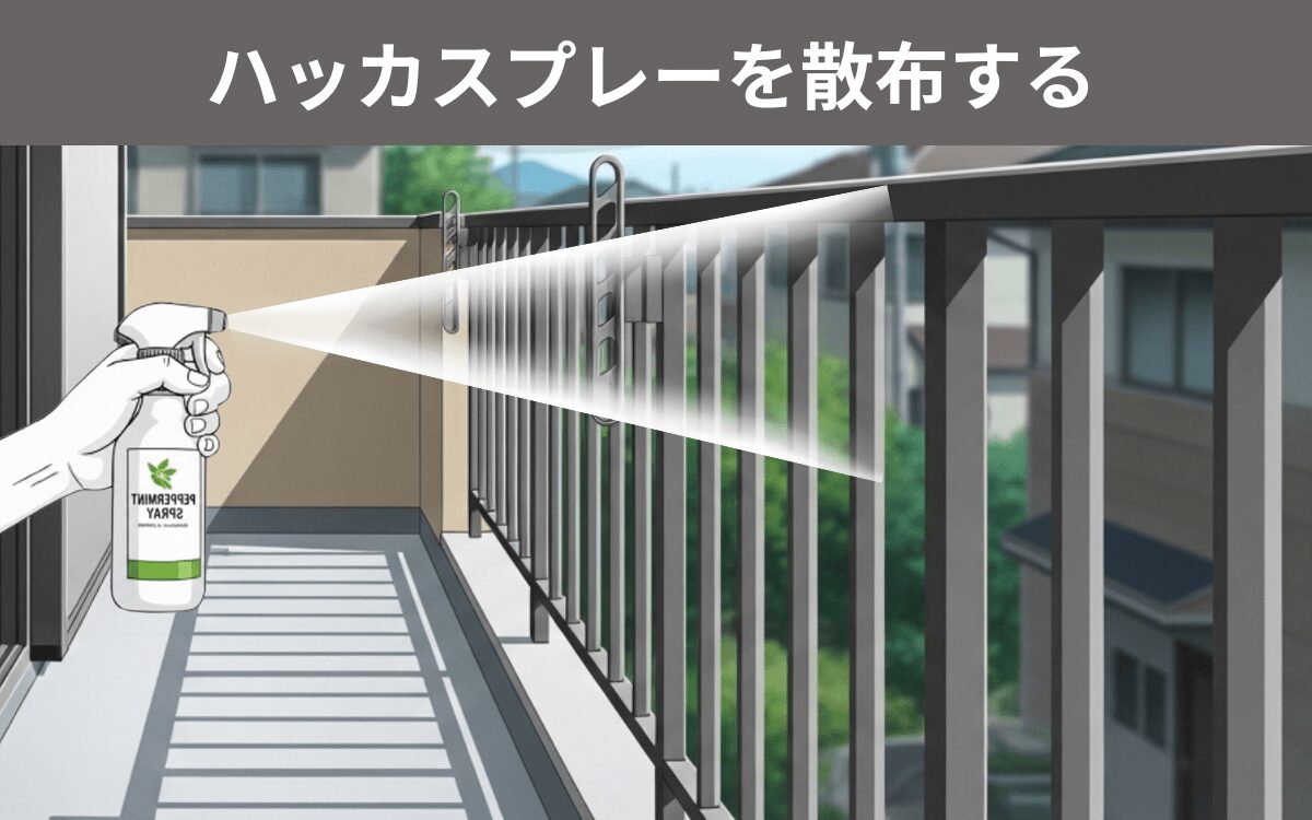 ハッカスプレーを散布する 3