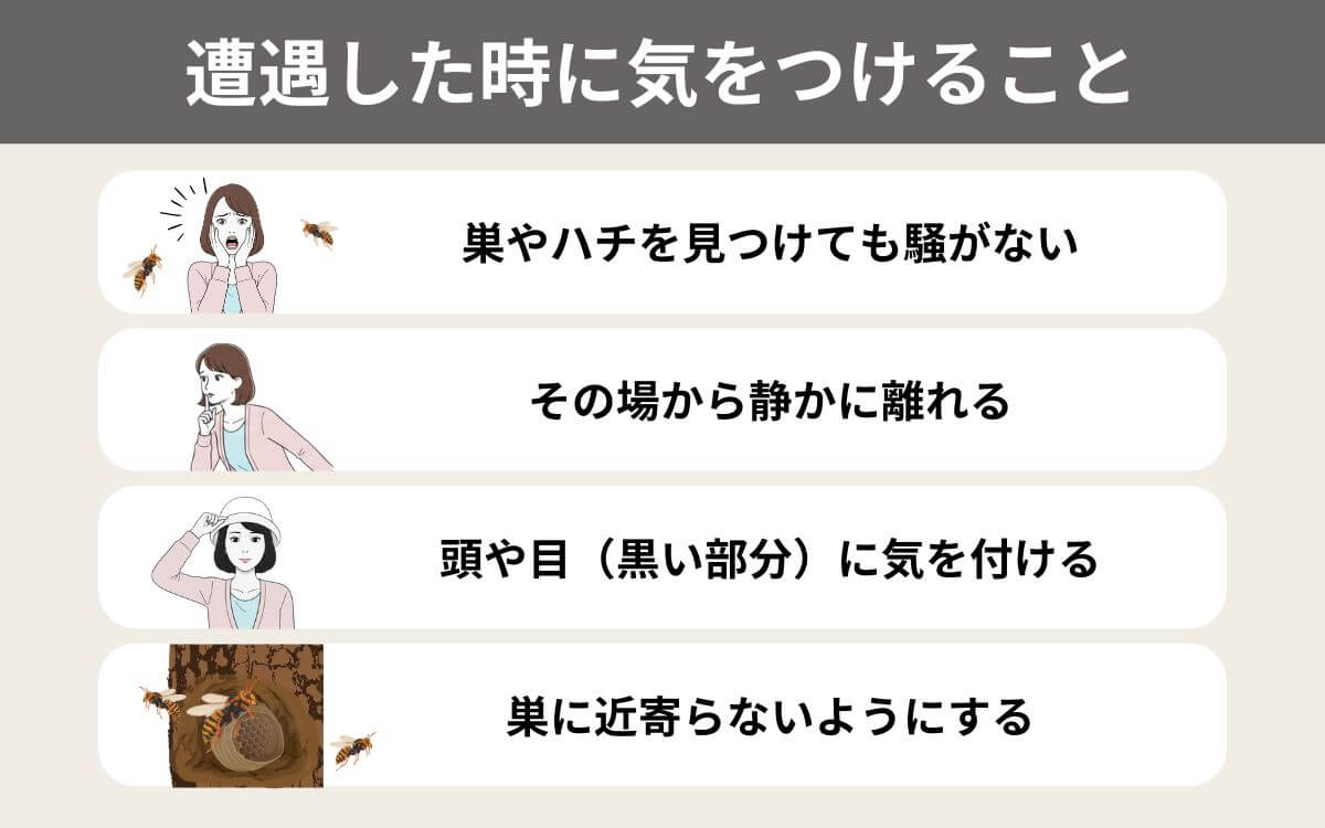 ヒメスズメバチに遭遇したら