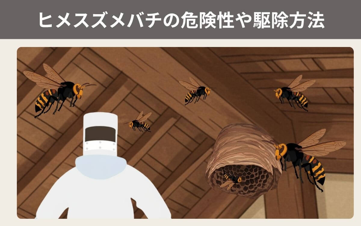 ヒメスズメバチの危険性や駆除方法