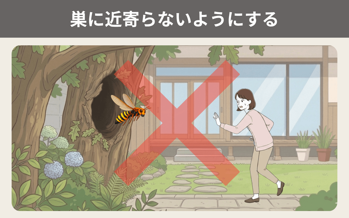 ヒメスズメバチの巣に近寄らないようにする
