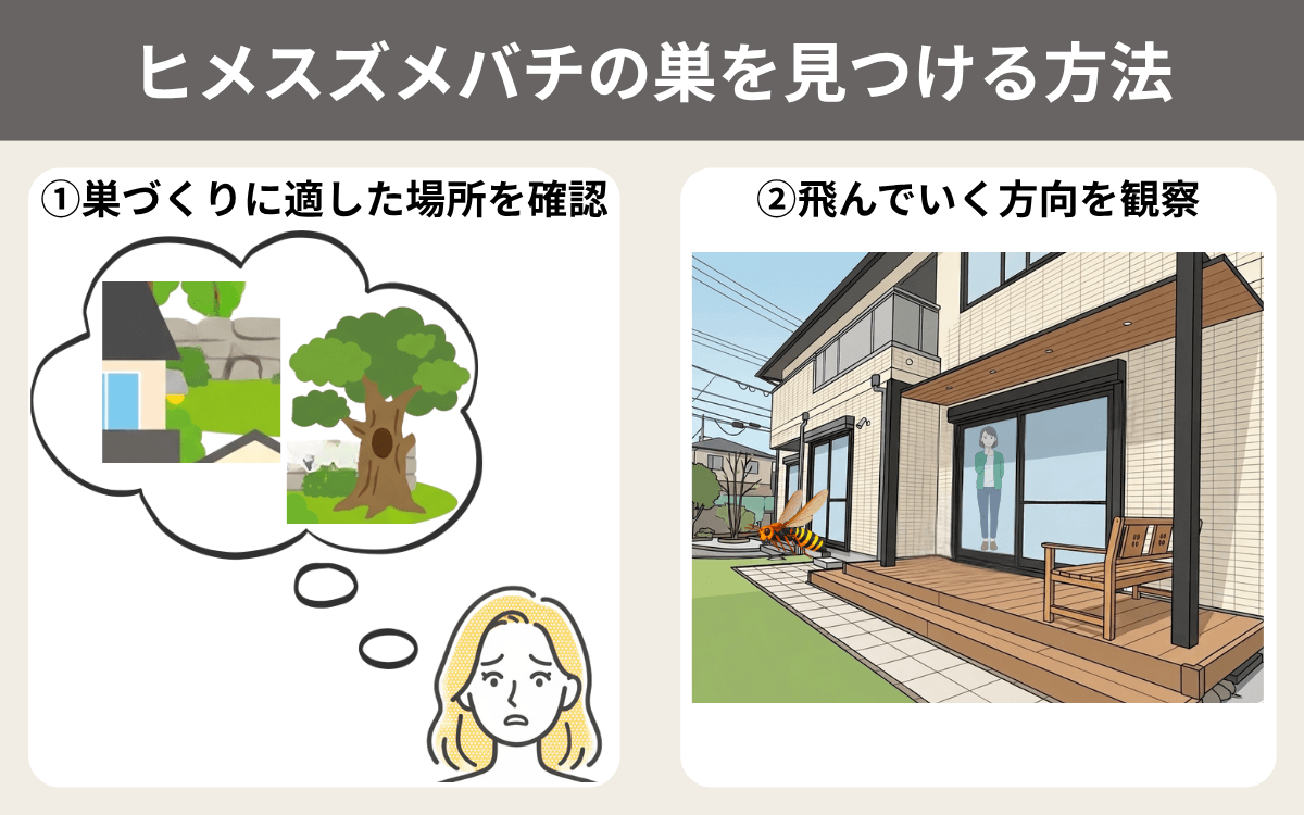 ヒメスズメバチの巣を見つける方法