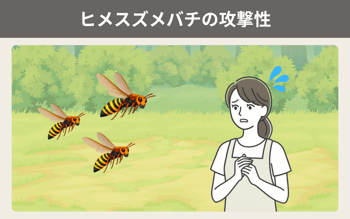 ヒメスズメバチの攻撃性