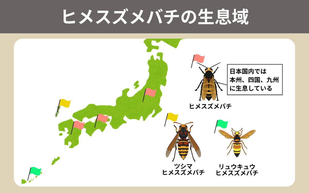 ヒメスズメバチの生息域