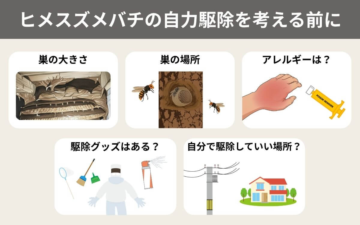 ヒメスズメバチの自力駆除を考える前に