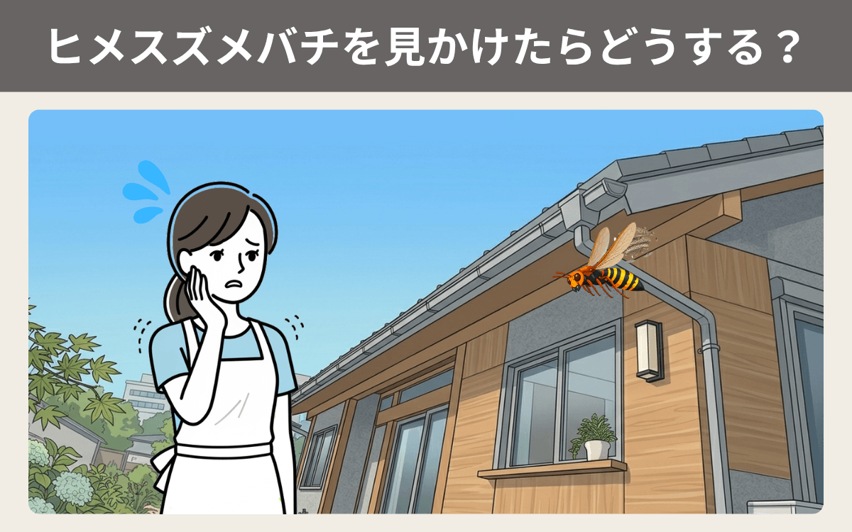 ヒメスズメバチを見かけたらどうする？