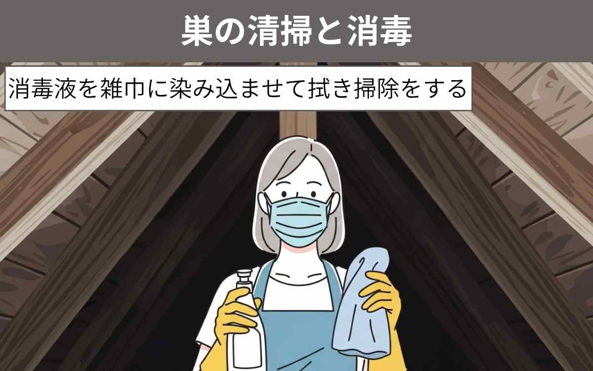 巣の清掃と消毒 1