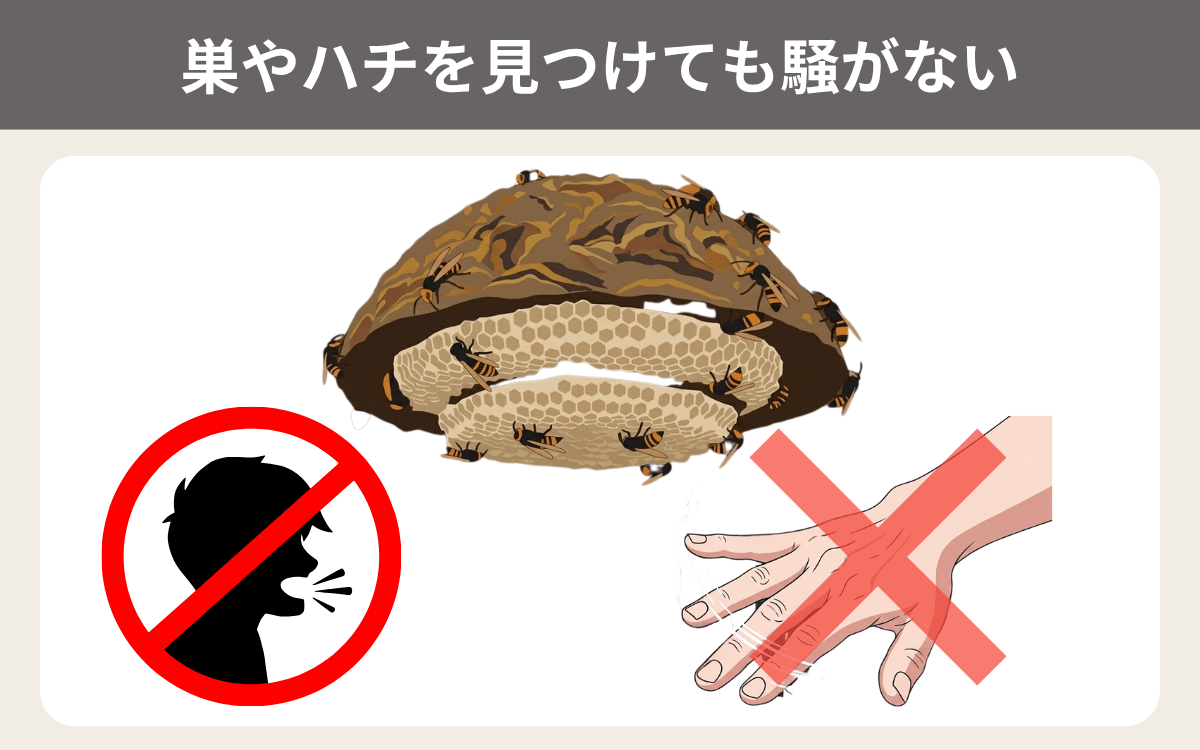 巣やハチを見つけても騒がない