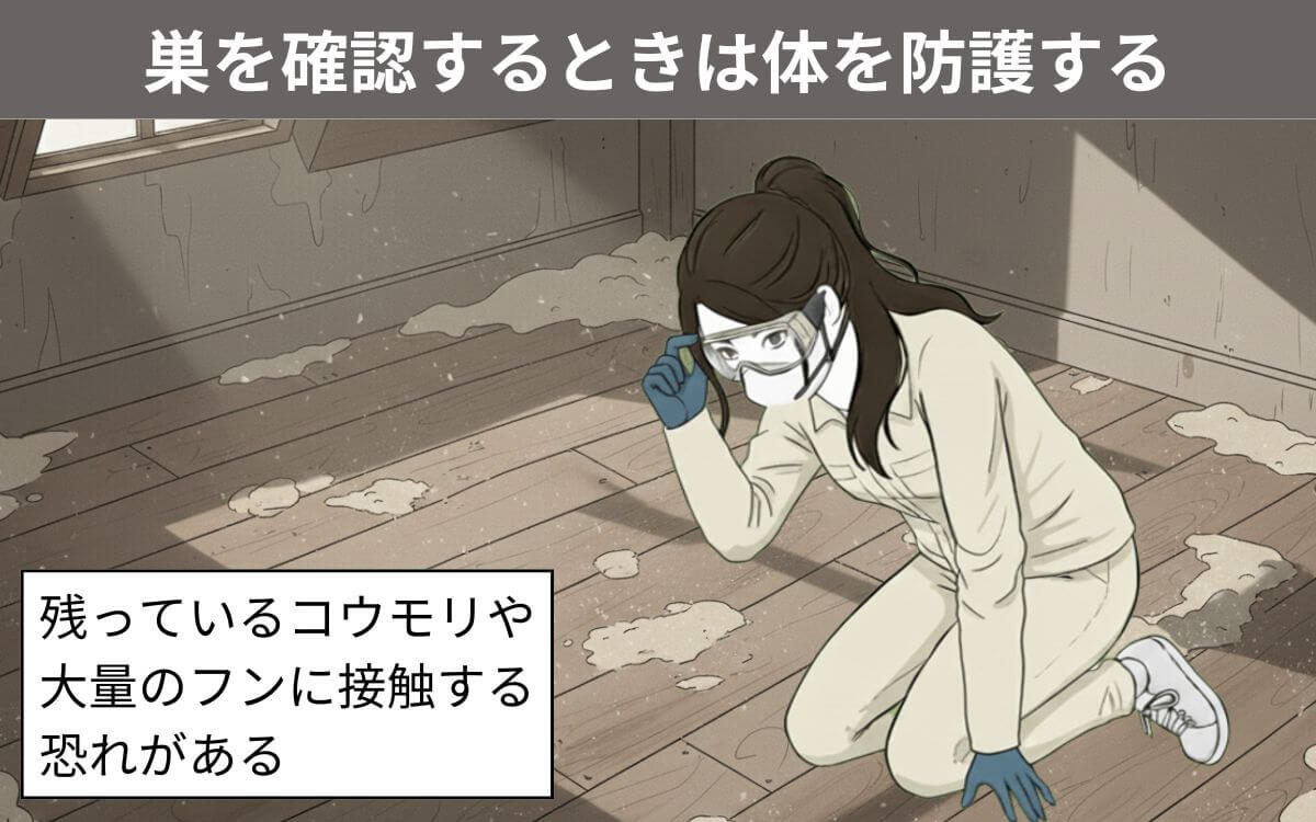 巣を確認するときは体を守る