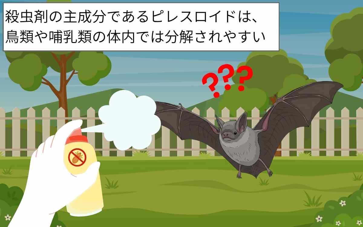 殺虫剤にはコウモリに効く成分が含まれていない