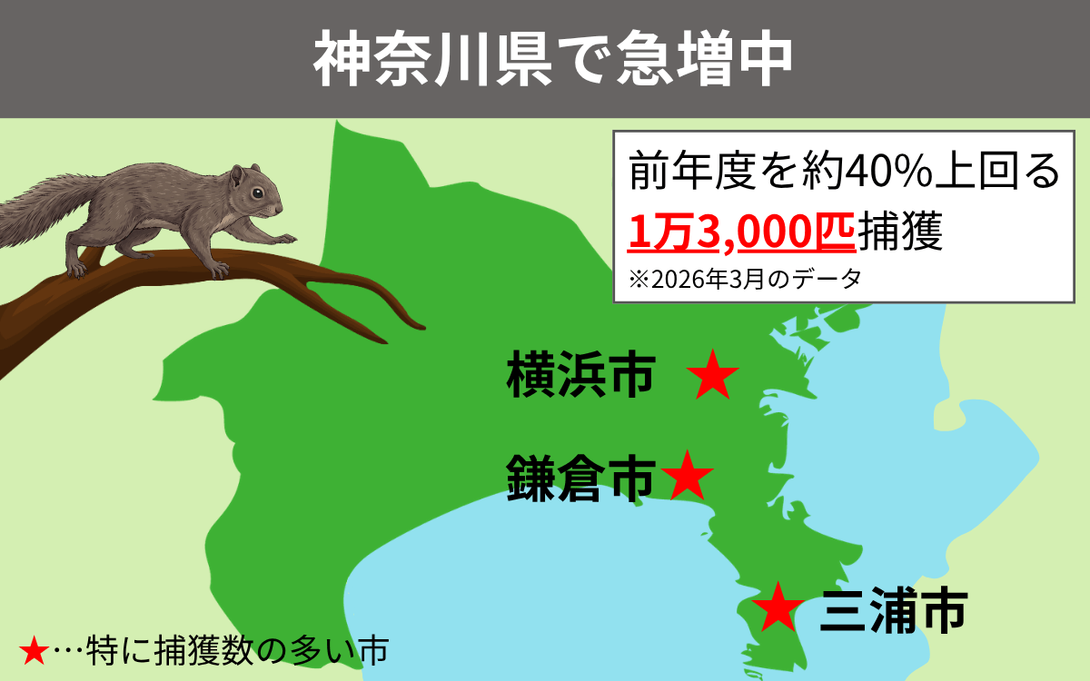 神奈川県で急増中