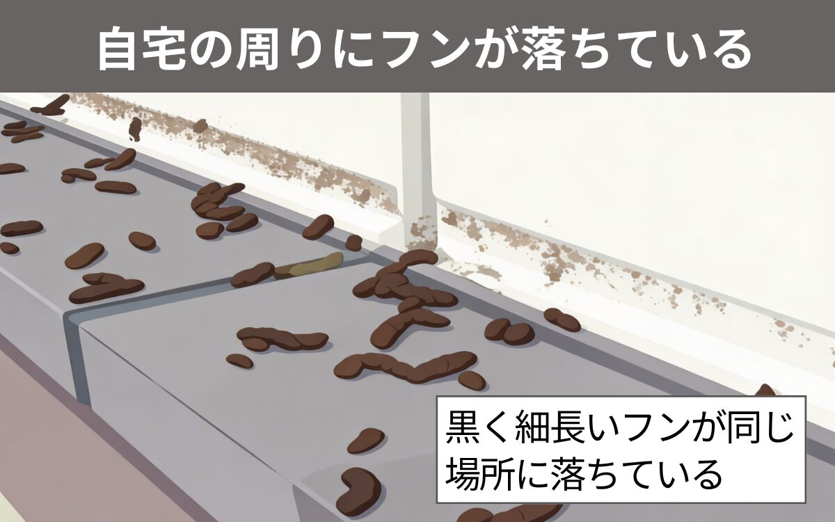 自宅の周りにフンが落ちている 1
