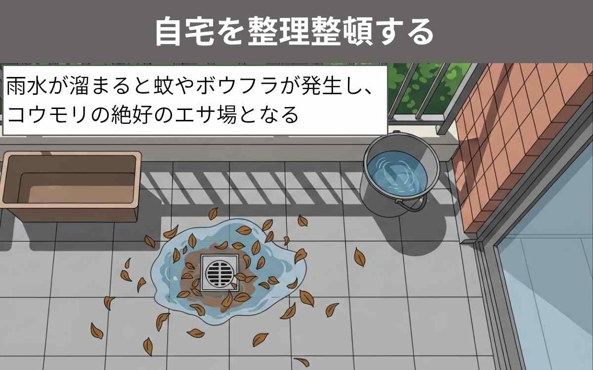 自宅を整理整頓する