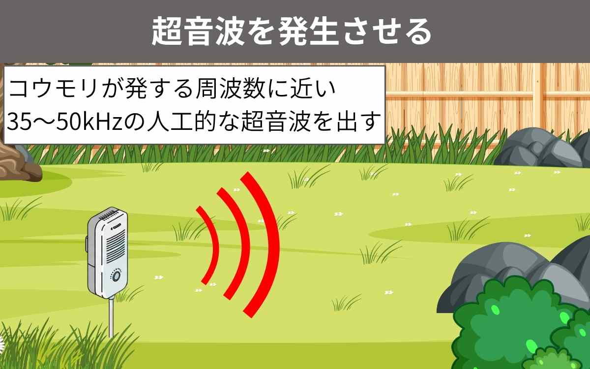 超音波を発生させる