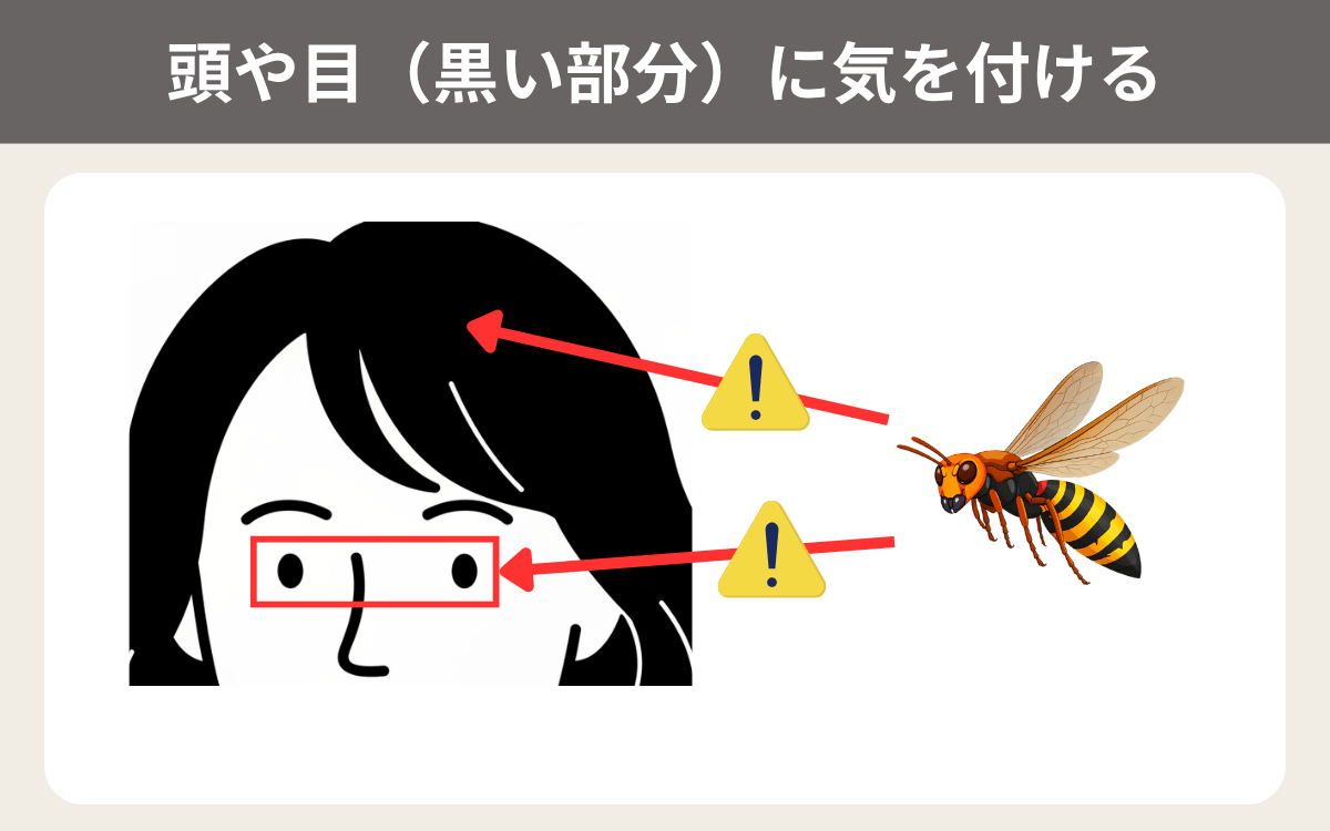頭や目（黒い部分）に気を付ける