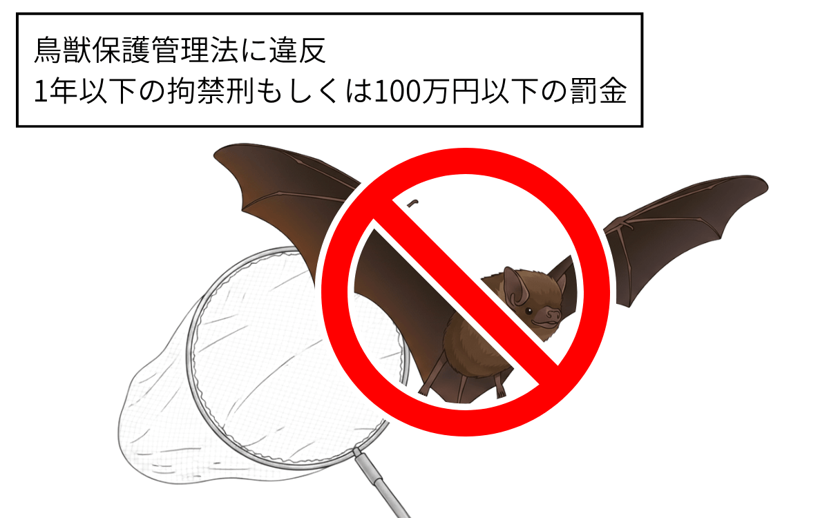 鳥獣保護管理法