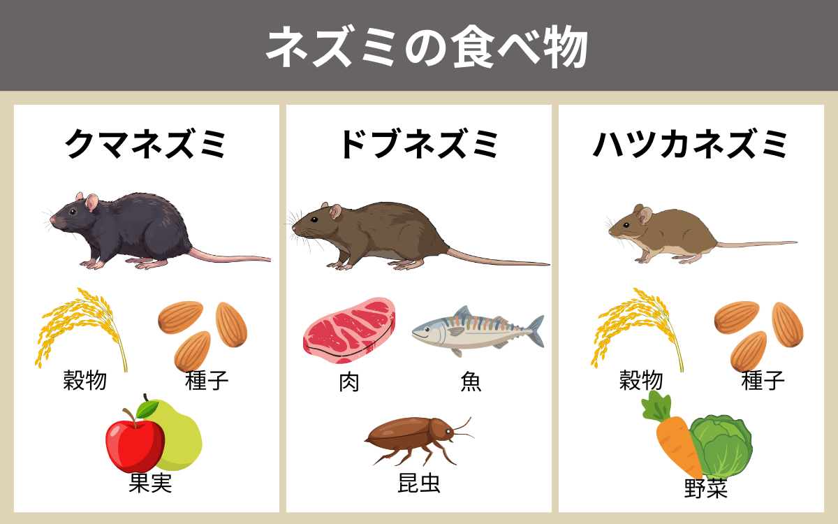 ネズミ の 食べ物