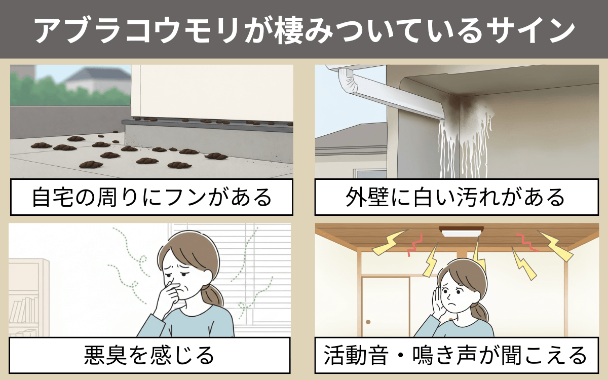 コウモリが棲みついているサイン