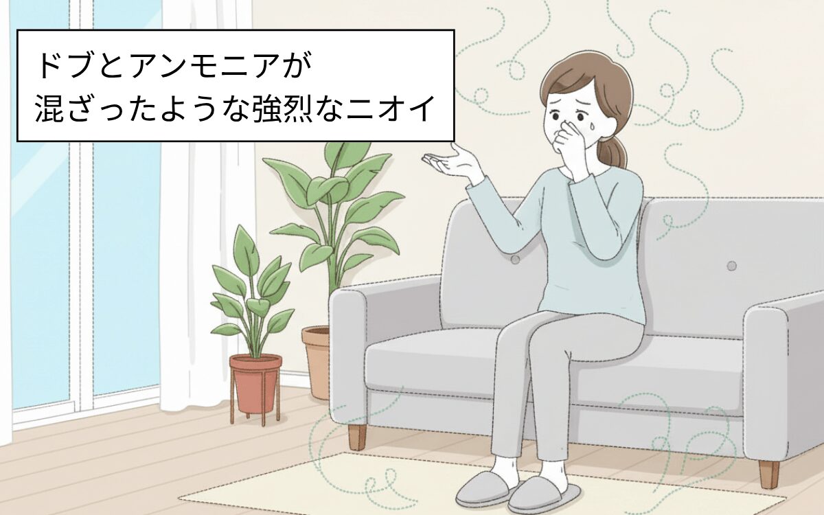 コウモリによるニオイの被害