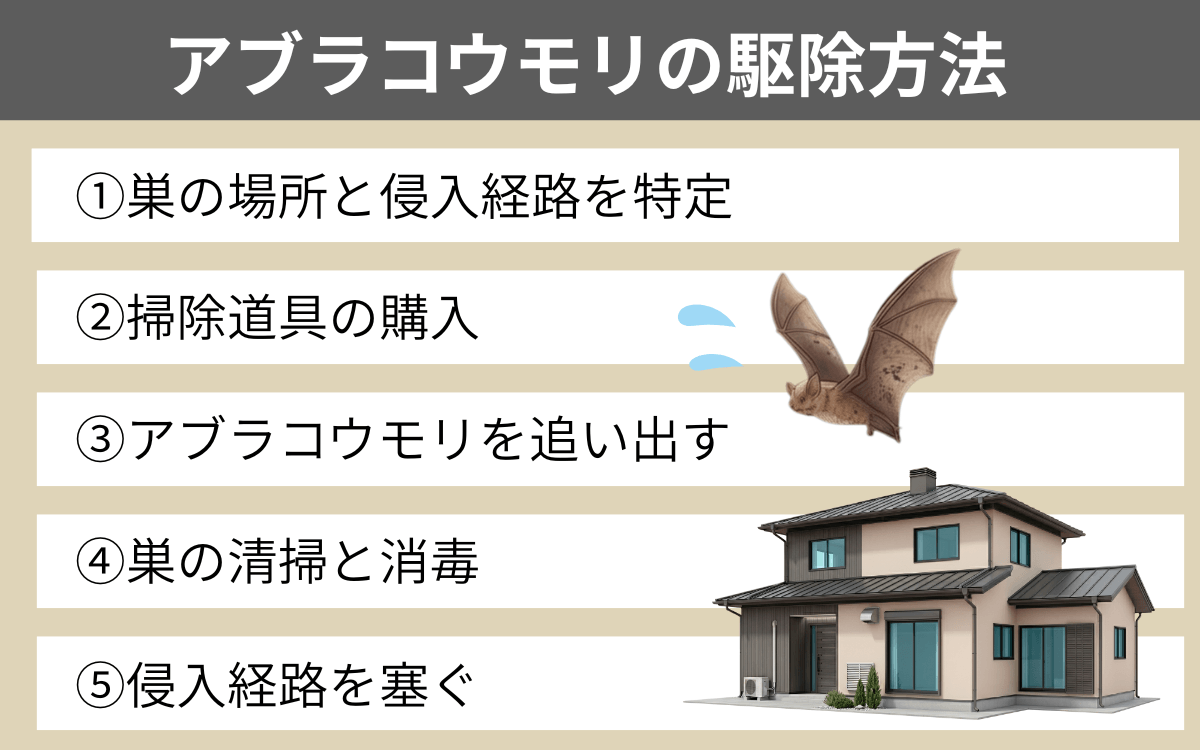 アブラコウモリが棲みついたら駆除しよう