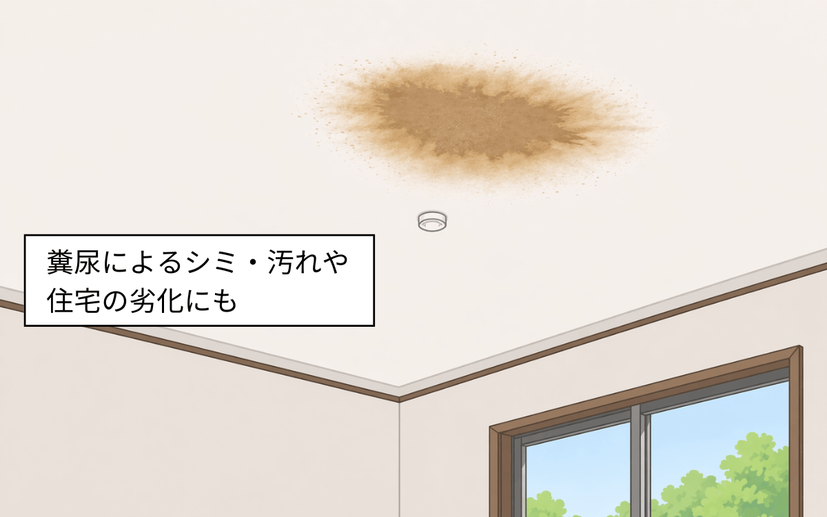 天井のシミ