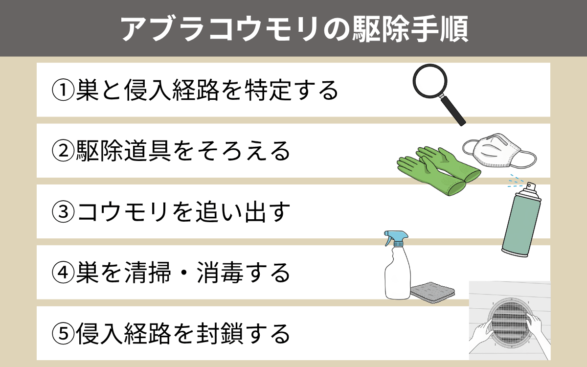 アブラコウモリの駆除手順一覧