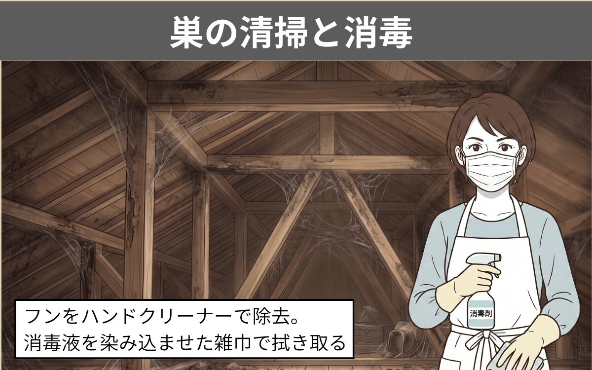 駆除手順④巣の清掃と消毒