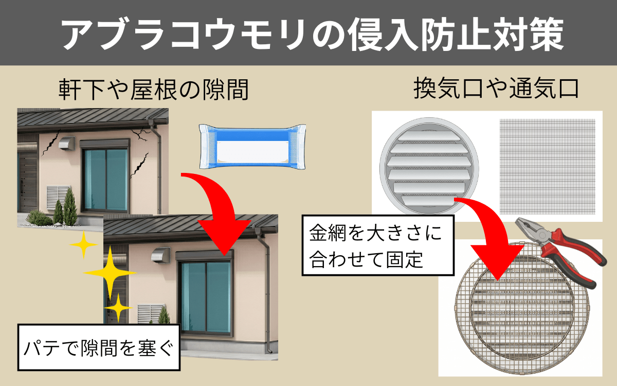 駆除手順⑤侵入経路を塞ぐ