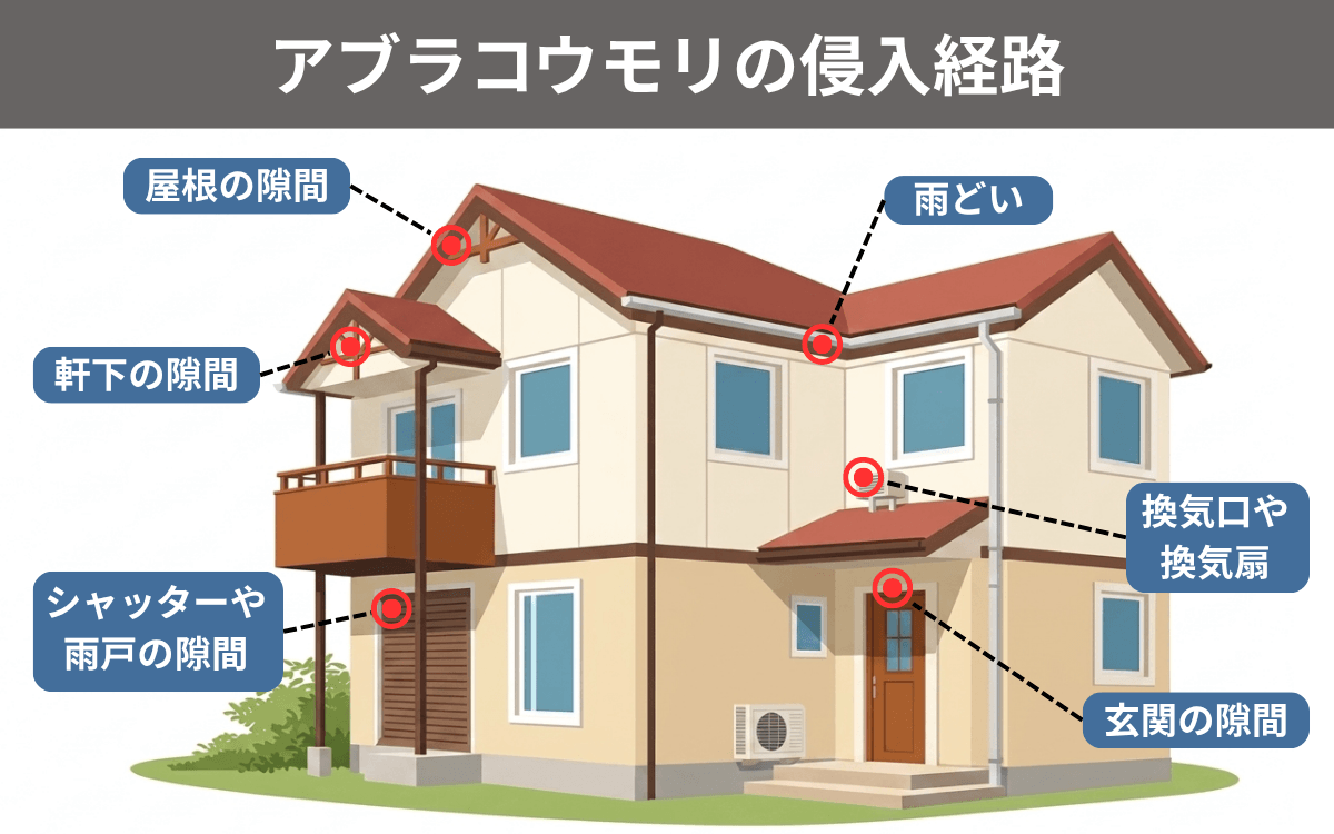 アブラコウモリが侵入しやすいポイント
