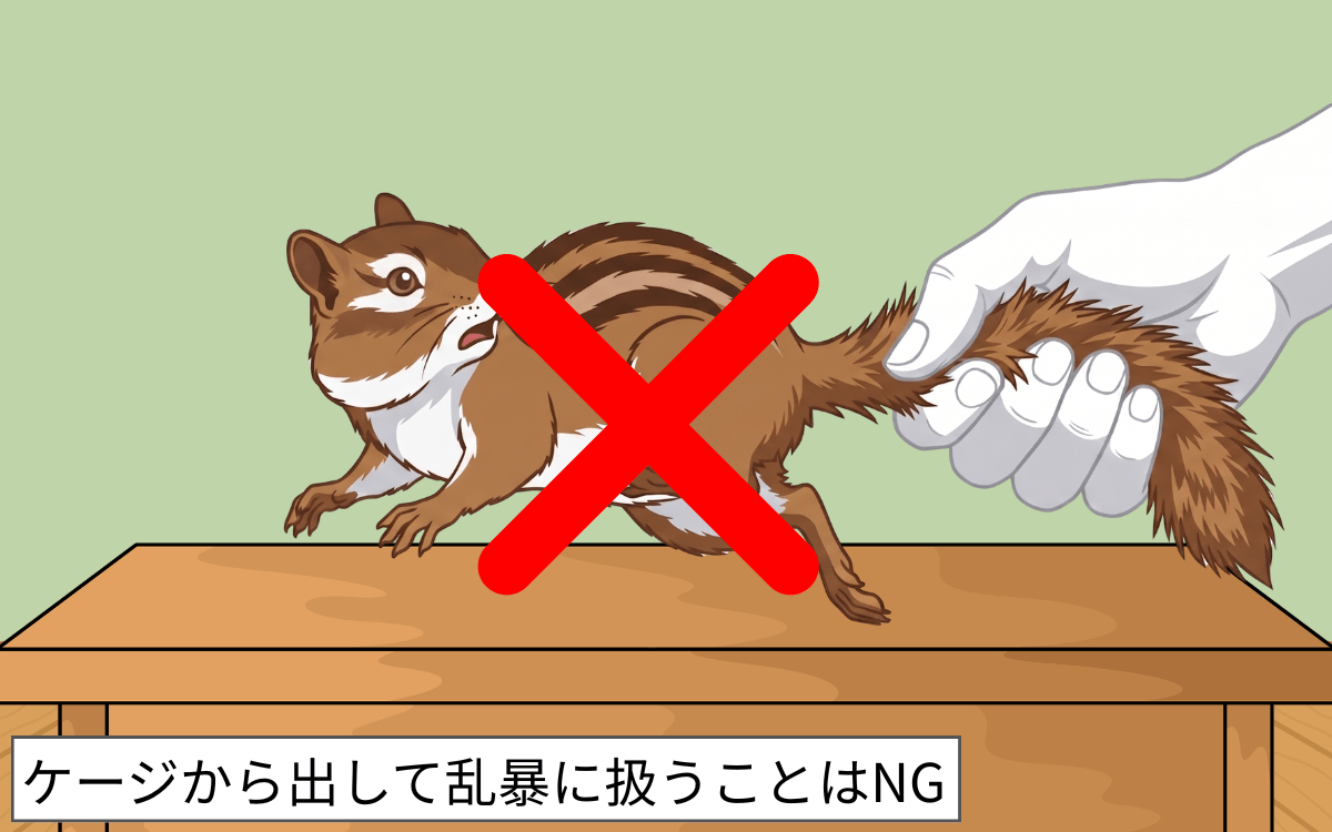 【リスのみ】過度なスキンシップはNG