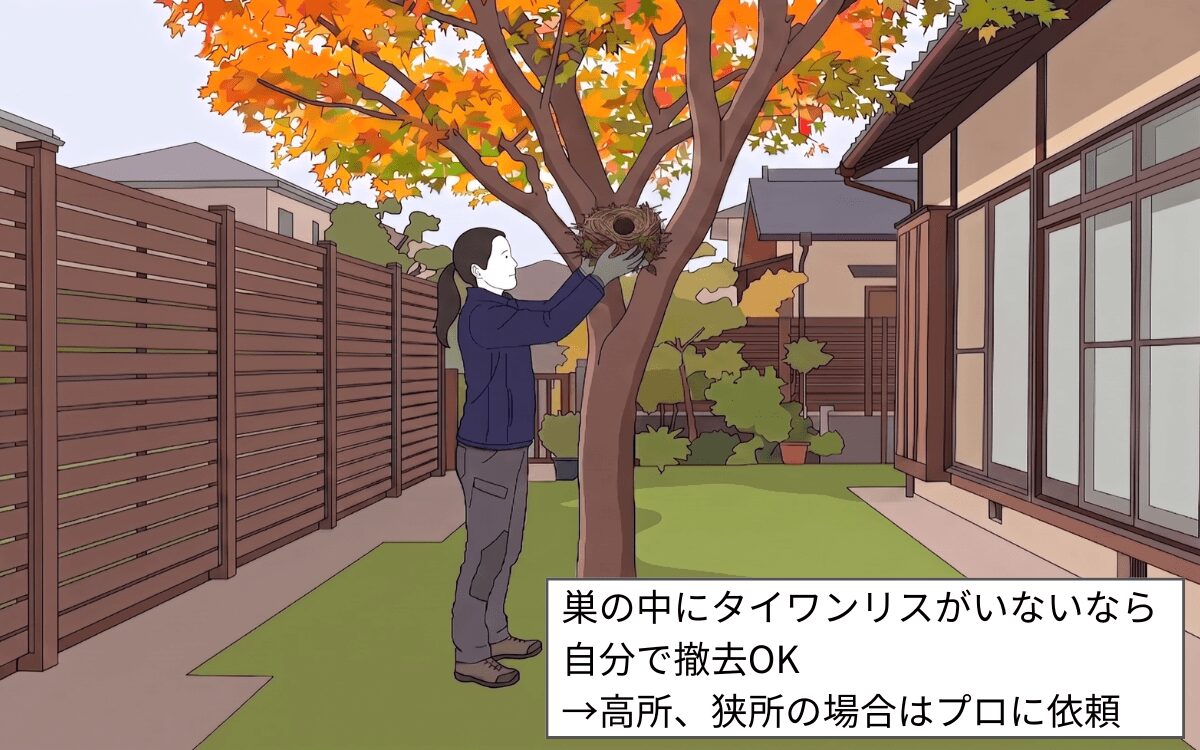 【私有地】巣に何もいなければ自分で撤去してOK