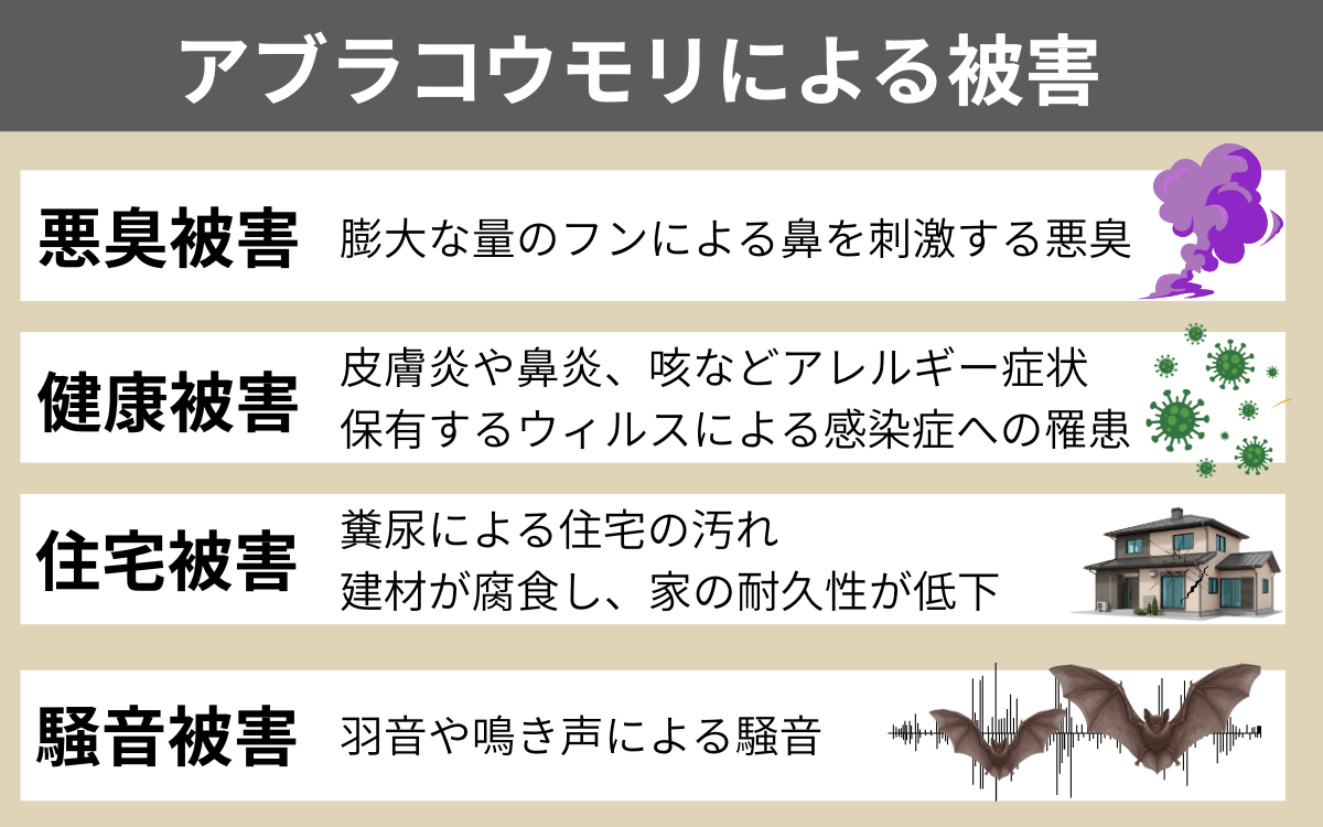 アブラコウモリがもたらす被害