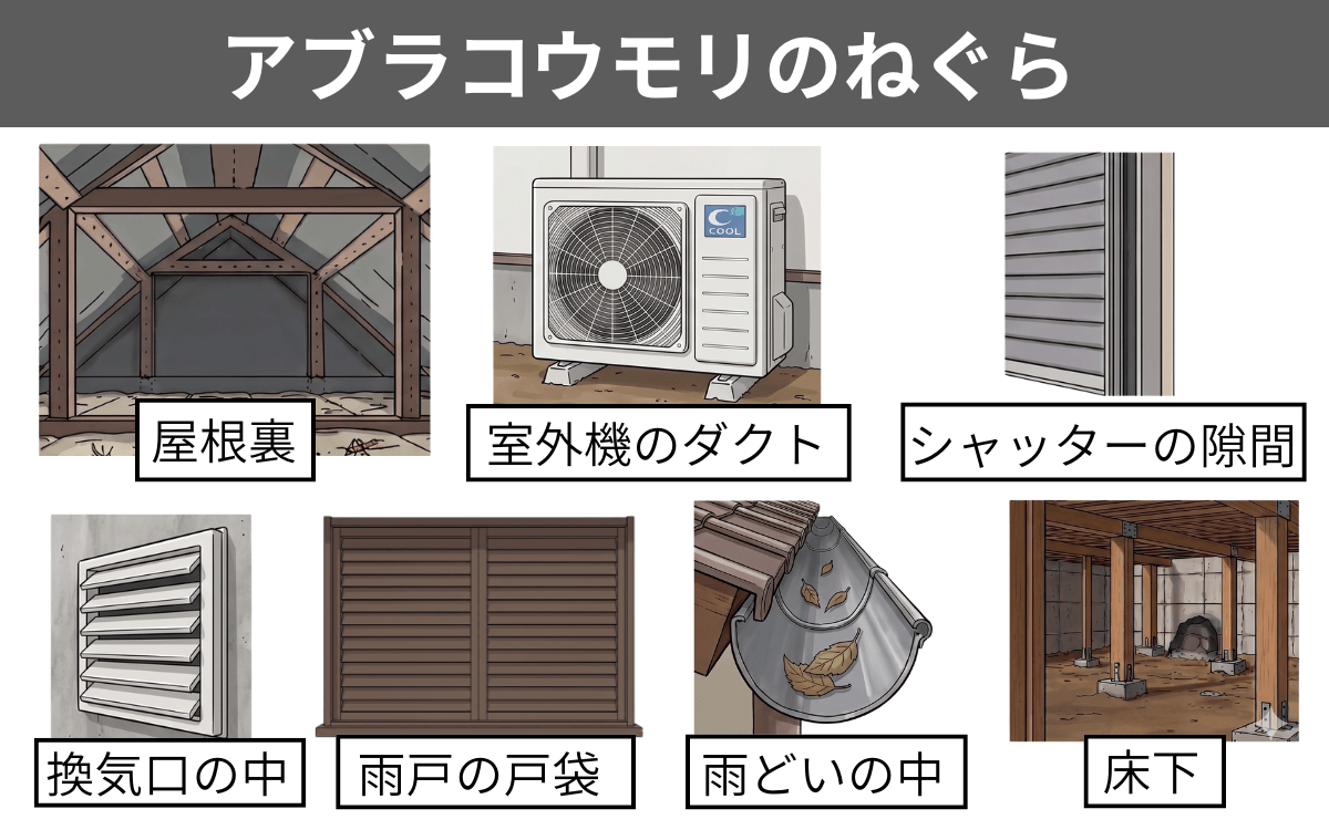 アブラコウモリが棲みつきやすい場所