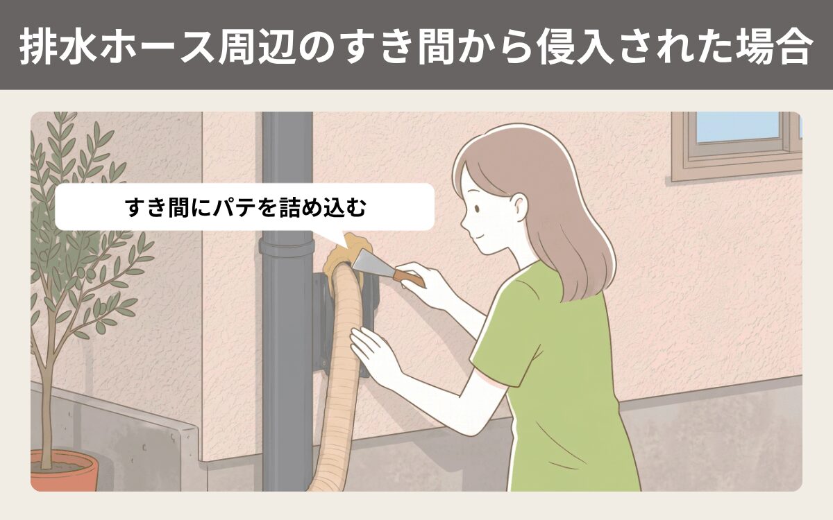 エアコン（排水ホース）