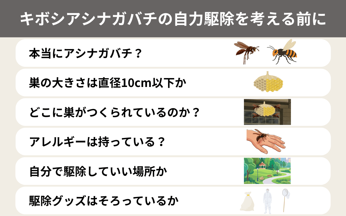 キボシアシナガバチの自力駆除を考える前に