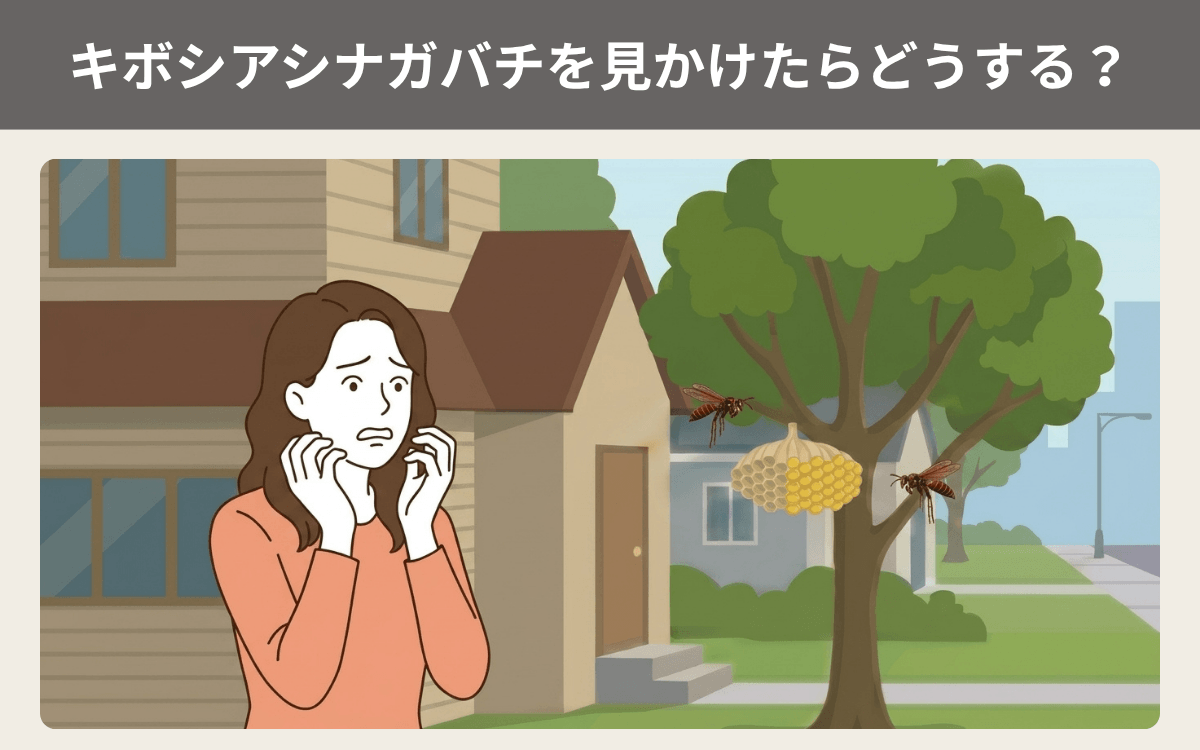 キボシアシナガバチを見かけたらどうする？