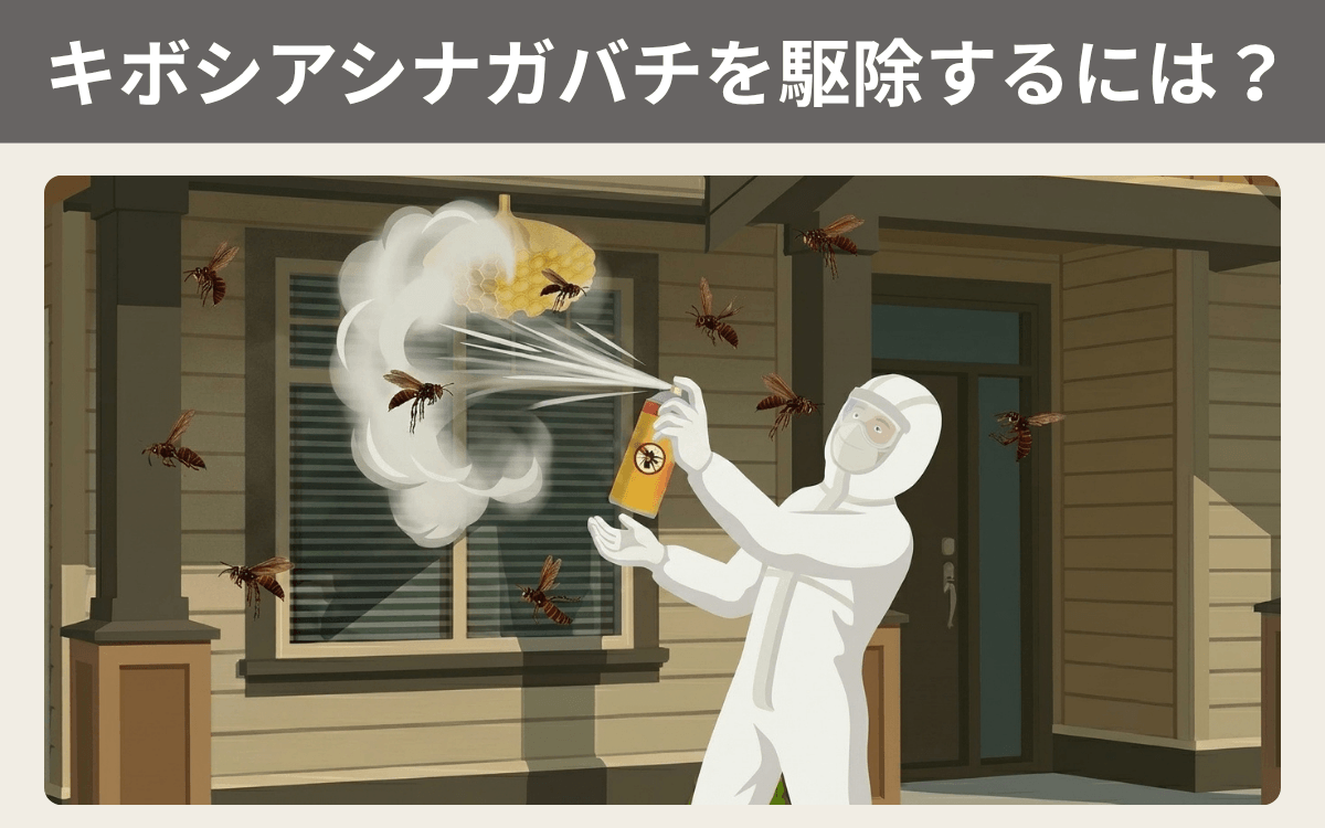 キボシアシナガバチを駆除するには？
