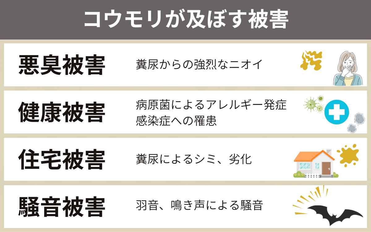 コウモリが及ぼす被害