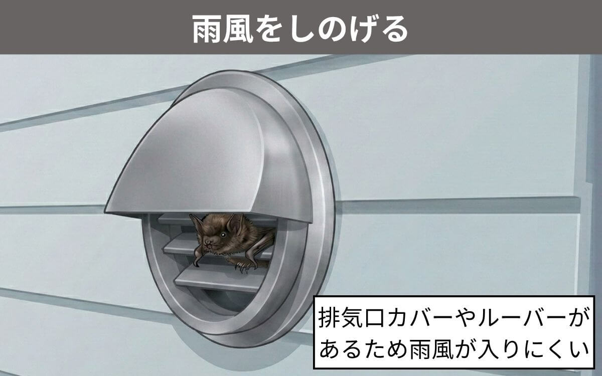 コウモリが換気扇を好む理由①雨風をしのげる
