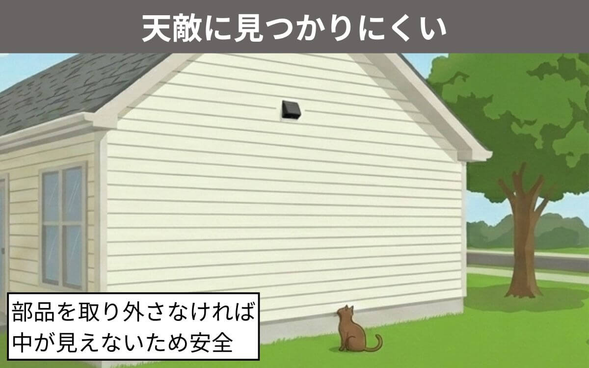 コウモリが換気扇を好む理由②天敵に見つかりにくい