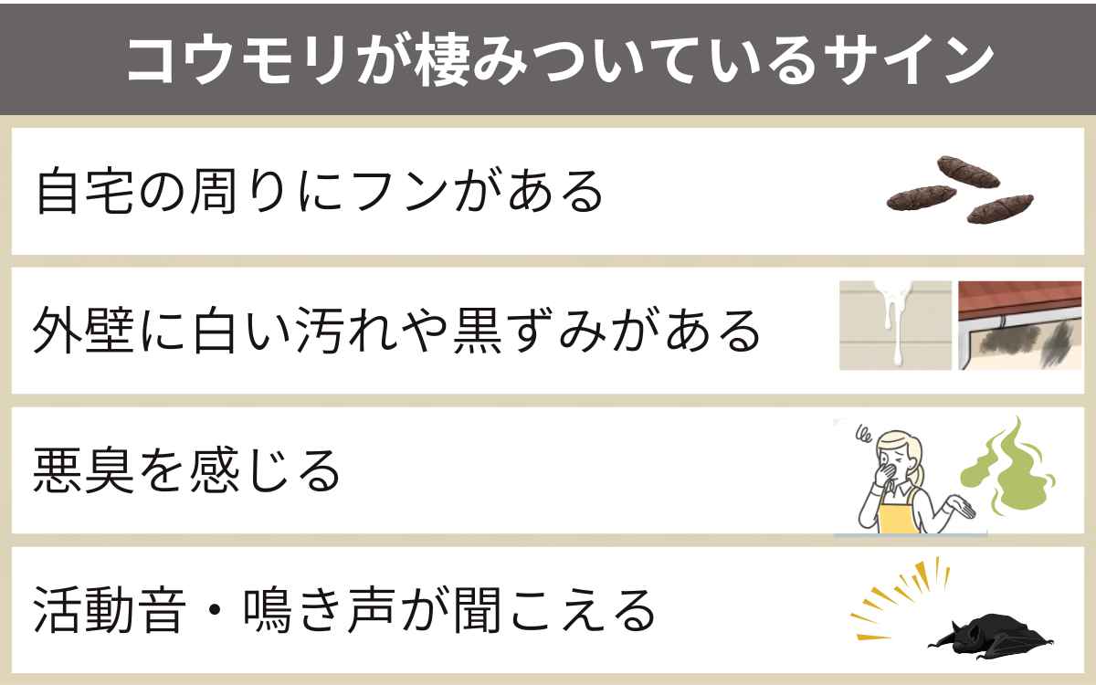 コウモリが棲みついているサイン