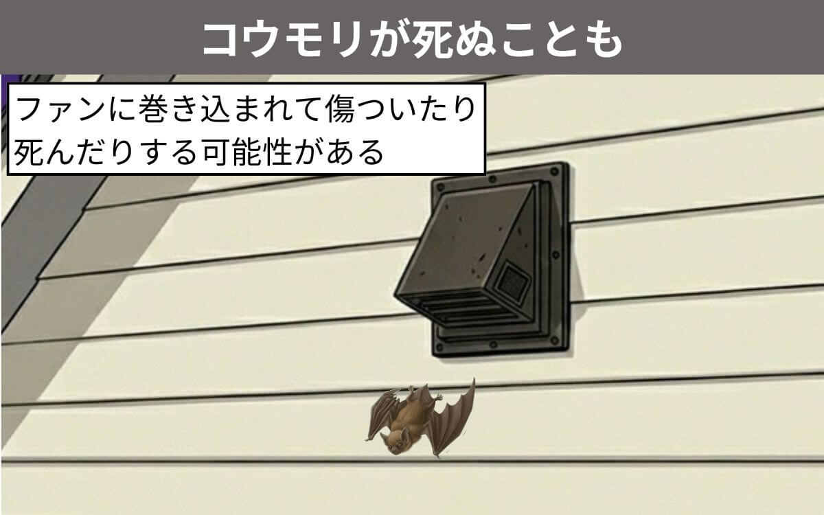 コウモリが死ぬことも