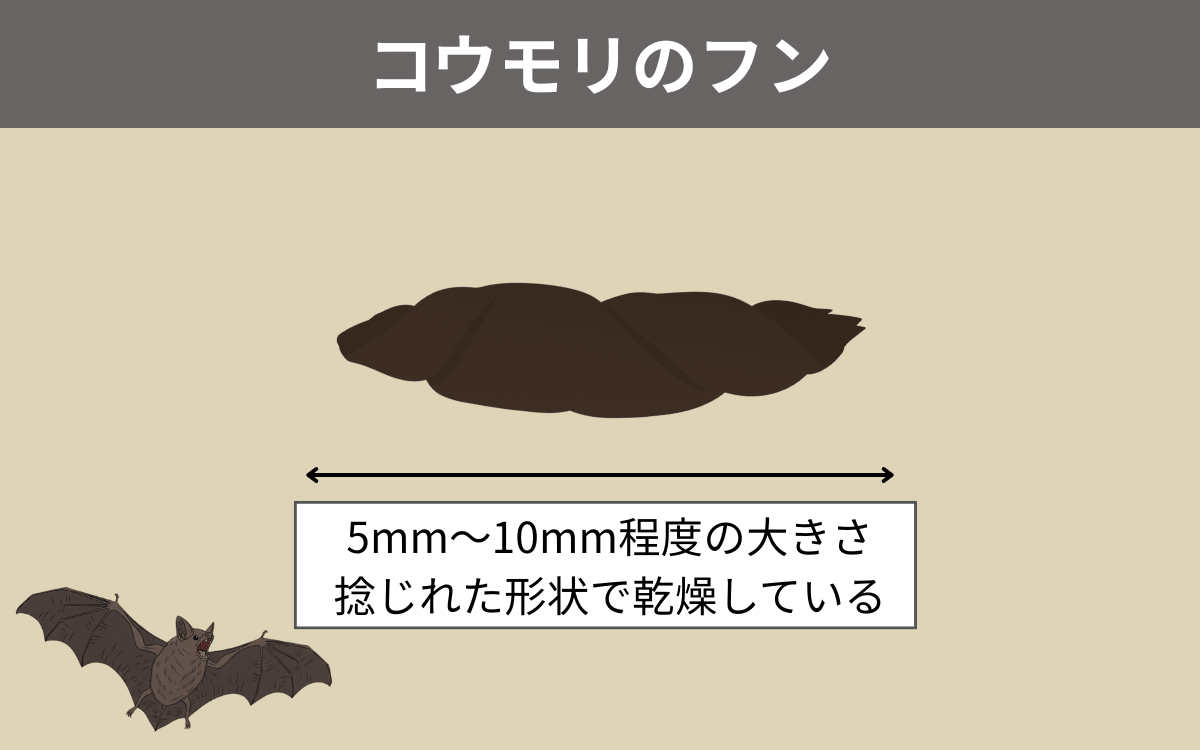 コウモリのフン