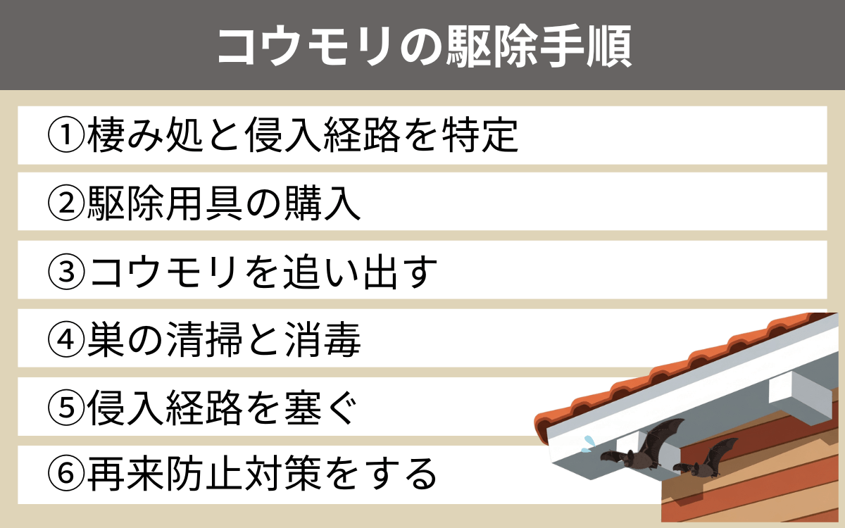 コウモリの駆除手順 1